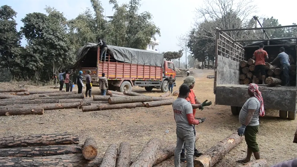 Saw mill and lumber