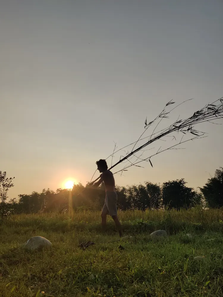We started farming