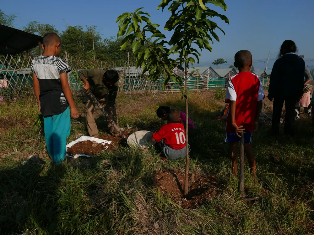 Permaculture workshops
